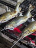 「【魚も酒も自ら厳選する瑞江の小料理屋】」