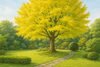 イチョウ「第4回：香りの庭づくり ― 秋の花と樹木の香りを楽しむ」
