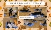 2025.11.12「ウェーブストレッチ エクササイズ１１月　産科婦人科山口病院」