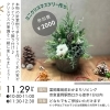 クリスマスワークショップ🎄ミニクリスマスツリー作り🎄11/29(土)開催✨