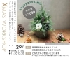 ミニクリスマスツリー作りワークショップ「クリスマスワークショップ🎄ミニクリスマスツリー作り🎄11/29(土)開催✨」