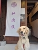 神楽荘看板前にて　モモちゃん「【出雲旅行に！】年末年始お得なプラン発売中！」