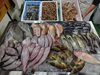 「📣本日のお魚情報🐟」
