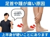 「踵やふくらはぎの外側が痛い原因は「姿勢」にある｜姿勢改善には神経×筋膜の硬さがキーポイント【松江・出雲・米子・整体・根本改善】」