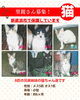 「【新居浜市】里親募集のお知らせ！」