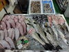 「📣本日入荷のお魚情報🐟」