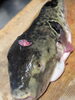 「【魚も酒も自ら厳選する瑞江の小料理屋】」