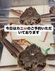 「【大地の蔵】蟹の予約をいただきました🦀 ᷈⭐︎」