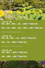 「🏝️ヤシの木接骨院の直近の空き枠【犬山市/各務原市/扶桑町/江南市/可児市】」