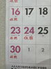 「11月24日（月・祝）休診のお知らせ」