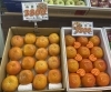 ギフトにもピッタリ🎁「様々な柿が店頭に並んでいます！秋の味覚をぜひ当店で🧡　枚方ビオルネ北館地下1階　新鮮果実 日野屋」