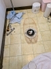 「【トイレ修理／事例紹介】急な排水トラブルもプロの技術で解決！便器脱着による根本的な修理！」