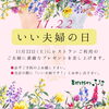 「11月22日(土)は、いい夫婦の日👩🏻👨🏻✨」