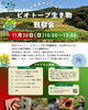 「🪲今月のビオトープ観察会🪲」