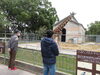 「動物園へ行きました♬」