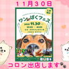 11/30（日）ワンぱくフェス出店♪