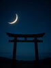 「明日11月20日は新月🌑」