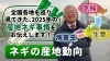 「コスパ抜群！　生きた土つくりをこの１袋で⋯ 能力値が高い鶏ふん堆肥　たねのハシモトミヤ」