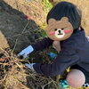 さつまいも掘り「あかとんぼでの野菜作り☆稲刈りとさつまいもの収穫体験をしたよ🍠《子どもたちのお困り事を解決！高松市の児童発達支援・放課後等デイサービス》」
