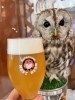 白くて丸いもこたんをイメージしました🦉「フクロウのいる店のフクロウのビール🍻」