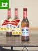 Budweiser(バドワイザー)新登場「バドワイザー新登場✨」