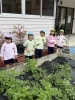 「八女市で保育園をお探しの保護者様へ　玉ねぎの苗植え」