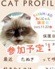 「2025/11/22㈯ 譲渡会(所沢市)保護猫参加情報！⑯ヒマラヤン　埼玉/所沢・入間・狭山・川越・飯能 　東京/東大和・武蔵村山・東村山・東久留米・小平・立川」