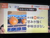 フリップ、電話での対応となりました。「☆カラフル野菜の小山農園、TBS系列『Nスタ』無事にオンエア☆」