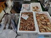 「📣本日入荷のお魚情報🐟」