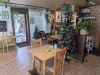 「店内にクリスマスツリーを飾りました！」