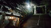 「夜の神社✨」
