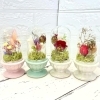 「秋冬のプリザーブドフラワー新しく作成しました🌼」