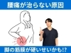 「腰痛の原因は脚の筋膜にある理由｜理学療法士が筋膜が腰に影響する理由を徹底解説！【松江・出雲・米子・整体・根本改善】」