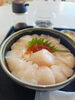 「稚内・宗谷・道北観光の途中に大粒のホタテ丼ランチしませんか？」