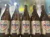 オリオンビール「沖縄の定番!オリオンビールで乾杯しませんか?」