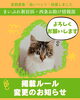 「【まいぷれ新居浜・西条お助け情報部】掲載ルール変更のお知らせ🐾」