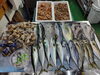 「📣本日のお魚情報🐟」