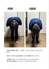 身体が柔軟になり、手足の可動域が広がったそうです「その身体の不調を整えて楽になりませんか？」