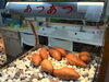 やきいも「ほかほかの焼き芋をおやつで食べました」