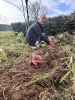 育つチカラは、からだを支えるチカラ。「自然が教えてくれる”めぐりの知恵”を、日々の暮らしと施術に生かしたいと思います。」
