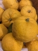 「自家製柚子🍊」