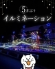 5年ぶりのイルミネーション点灯「✨5年ぶりのイルミネーション点灯✨」