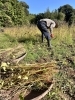 手をかけるほど、食はからだを整えてくれる。「「蕎麦の実、収穫の日。健やかな一年を願う“食の整え”」」