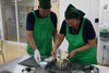 「観光体験ツアー造成へ」