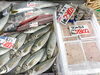 「舞鶴港直送！旬の魚介が盛りだくさん！」