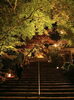 夜の竈門神社「竈門神社もみじ祭りに参加します」