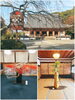 世界遺産！醍醐寺🍁「歴史と文化に触れる旅、世界遺産・京都「醍醐寺」をご紹介」