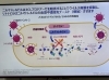 「新型コロナウイルス治療薬「パキロビッドパック」の作用について」
