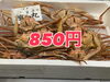 「本日鮮魚入荷致しました」