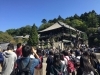 「サークルや修学旅行に！学生さん向け貸切バスもおまかせください」